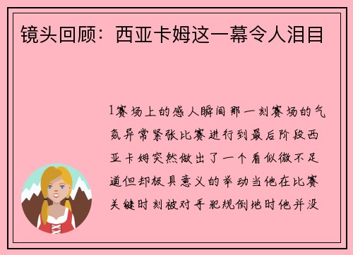 镜头回顾：西亚卡姆这一幕令人泪目