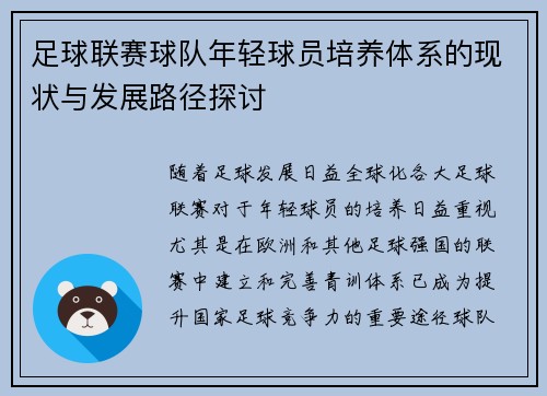 足球联赛球队年轻球员培养体系的现状与发展路径探讨